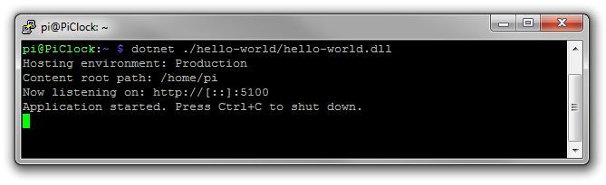 ASP .Net Core MVC on a Raspberry Pi